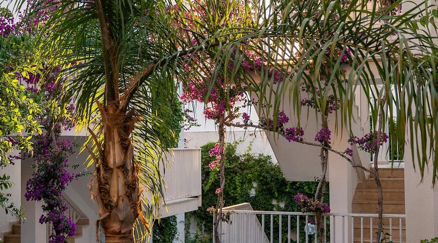 Bodrum Beach Resort