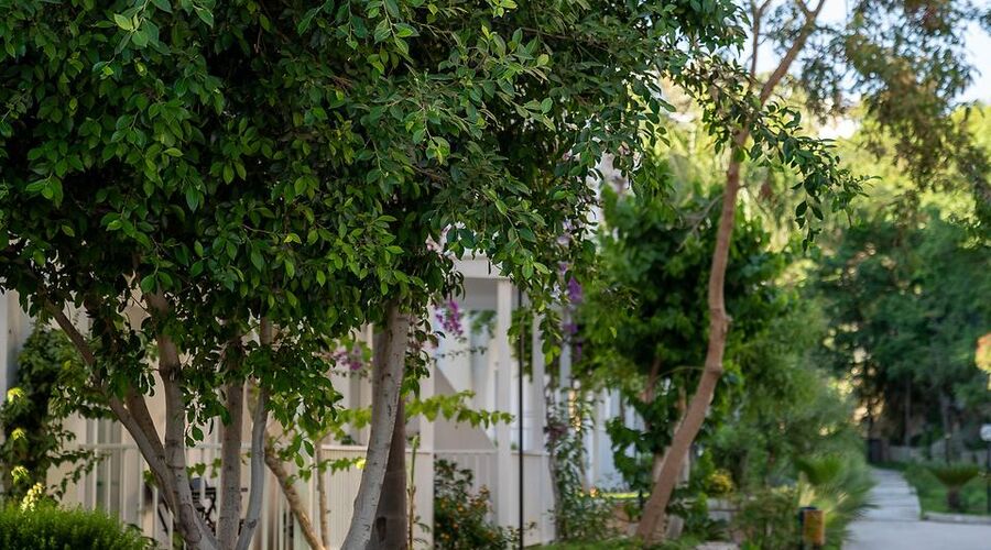 Bodrum Beach Resort