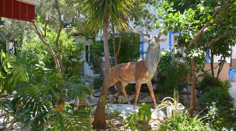 Hotel İstanköy Bodrum