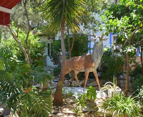 Hotel İstanköy Bodrum