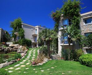 No81 Hotel