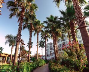 Royal Atlantis Beach