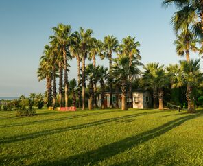 Royal Atlantis Beach